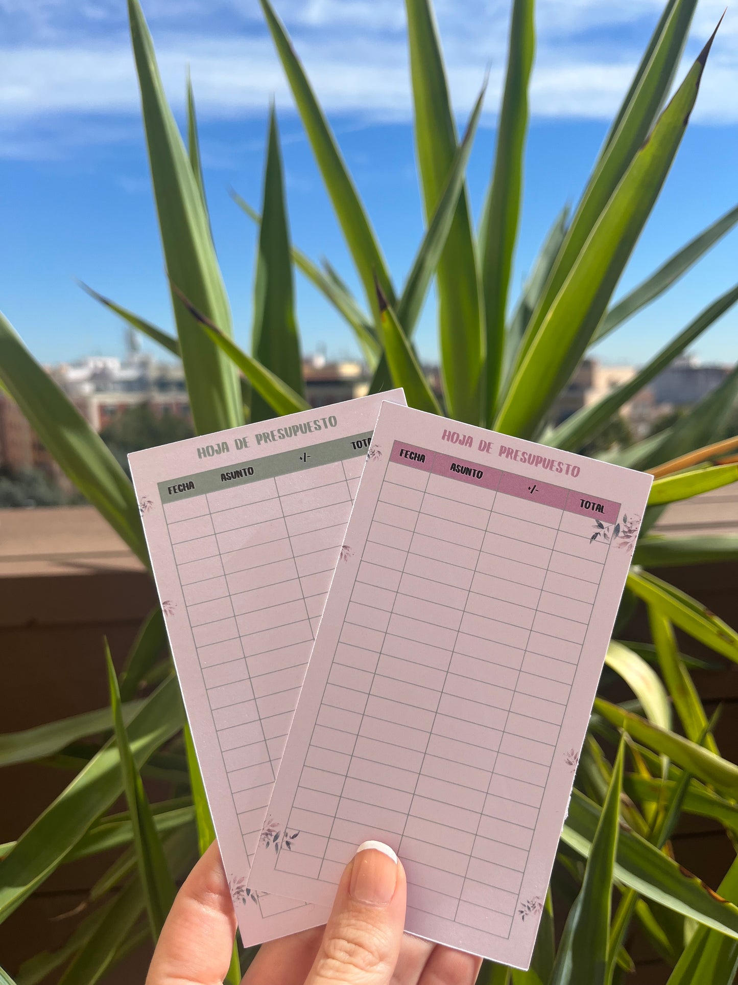 Hojas de Presupuesto