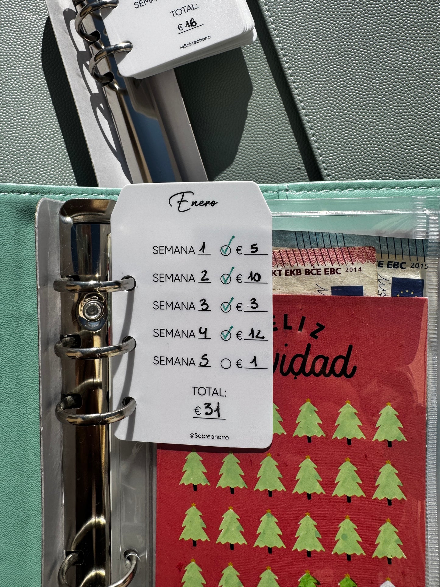 Tarjetas de ahorro del mes - Reutilizables insertables en A5, A6, A7.