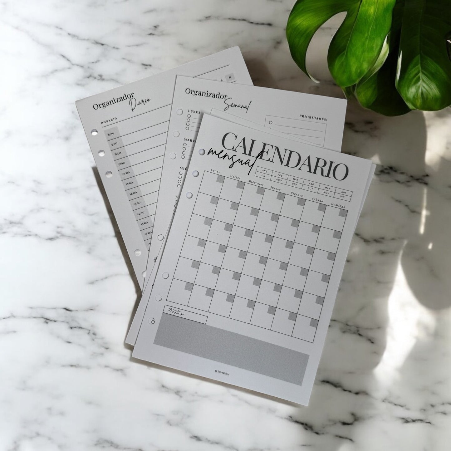 Pack de prueba – Tu primer mes a tu ritmo