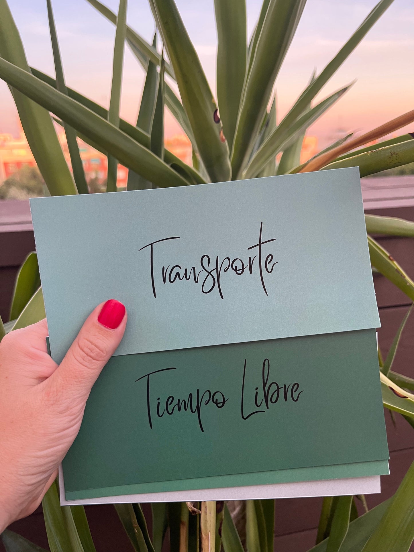 Tarjetas predefinidas para archivador de presupuesto A6