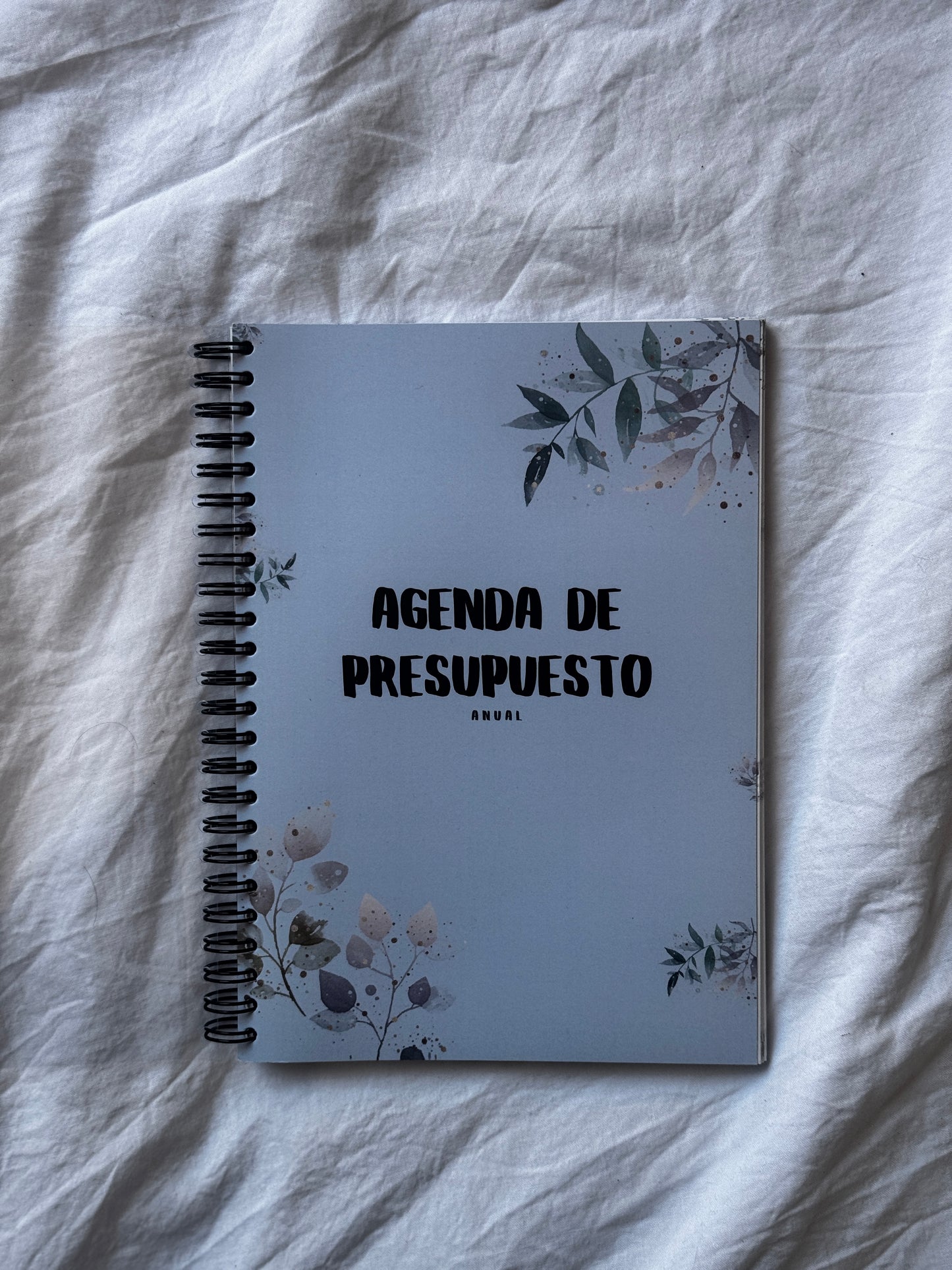 Planificador de presupuesto - Agenda sin fechas ✨ Edición Anterior (Outlet)